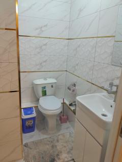 Golden House Dinastiya - - 5