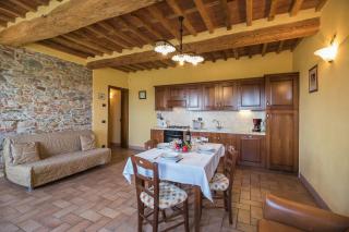 Historic Apartment With Pool Near Lucca - 2