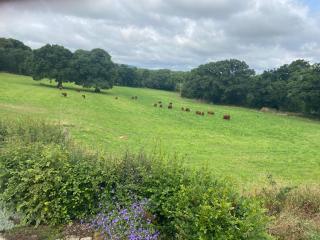 Holland Park Farm - 8