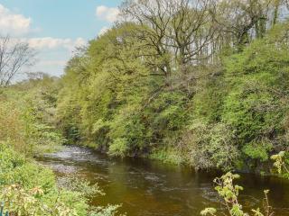 Tawe Cottage - 6