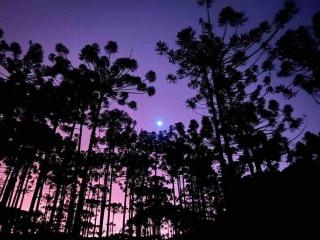 Cantinho da Bubu - 6