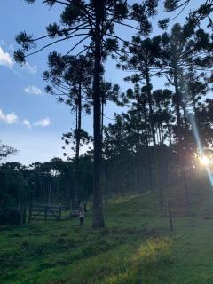 Cantinho da Bubu - 4