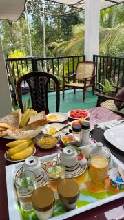 Shine Haven Ella - 4