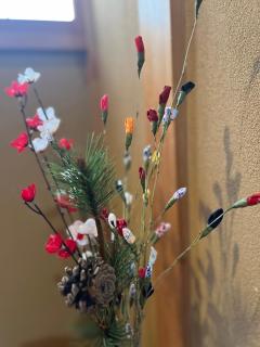 SUZUNONE The only private lodging in Tokyo 2 min walk natural hot springs near BIG super market ASAKUSA AKIHABARA SKYTREE nearby Japanese TATAMI style - 6
