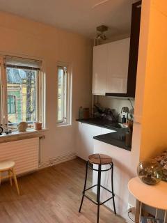Studio at city center of Oslo - Oslo - 8