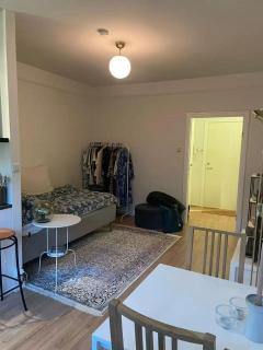 Studio at city center of Oslo - 7