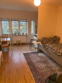 Studio at city center of Oslo - Oslo - 3
