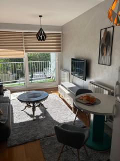 CENTRAL POINT APARTMENT - City centar Zenica- - 7