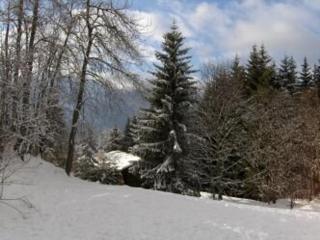 Studio au pied des pistes avec terrasse – 4 pers, lave-vaisselle & lave-linge - FR-1-572-135 - 4