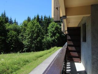 Studio au pied des pistes avec terrasse – 4 pers, lave-vaisselle & lave-linge - FR-1-572-135 - 2