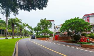 厦门初默民宿 - 8