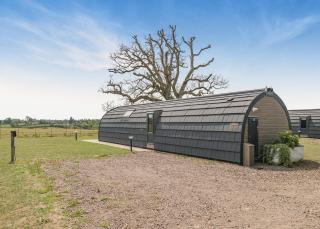 Firtree Farm Lodges - 7