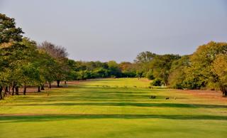 Elephant Hills Resort - 4