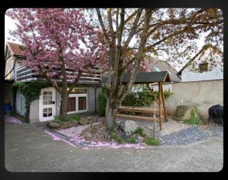 Nest & Rest Homes - 0