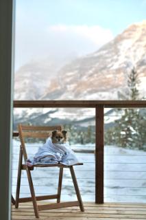 Skyridge Glamping - 3