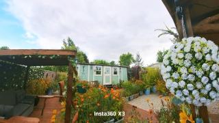 Alices Garden Two - 8