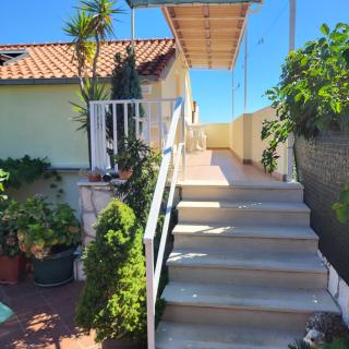 Apartments Miovic - 3