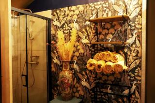 Domek Wróżki - Czary Mary u Tamary - Kocia Oaza w Puszczy Białej - 1