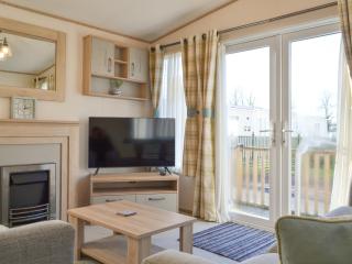 Beech Tree View - 6