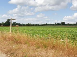 Haycart Barn - 4