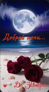 Оазис возле реки - 2