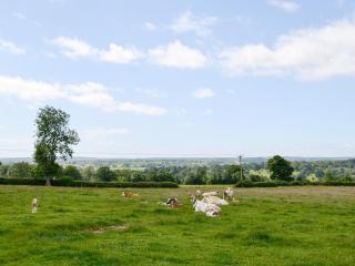 Bramble Cottages - 4