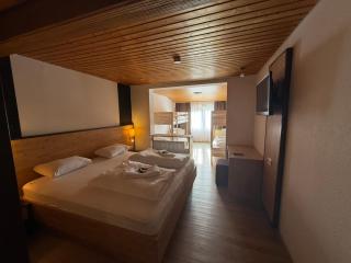 Alpina Löwen Hotel - 9