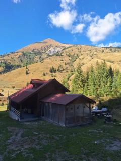 GAGO’S WOODEN HOUSE - 7