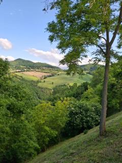 Agriturismo La Valle del Vento Urbino - 9