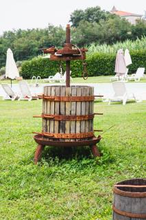 Tenuta MalescioQuintieri - 5