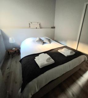 Trois pièces de charme hyper centre Tours - 2