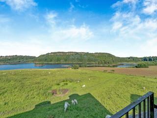 Kestrel Cottage - 27937 - 0