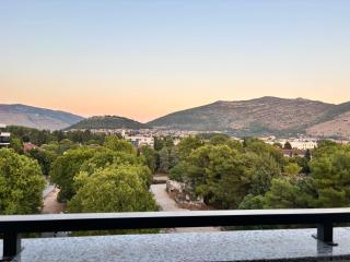 The Gracanica View - 0