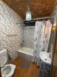 Houseboat Patloo Palace - 2