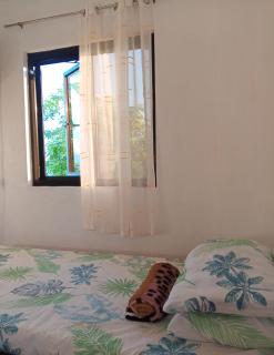 Uncle Bob&Tere's Beachfront House - 5