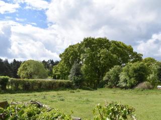 Oak Tree Cottage - E5062 - 5