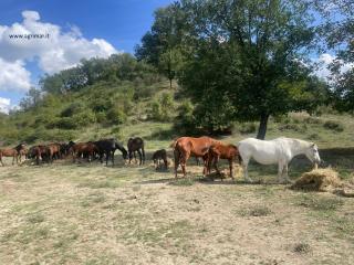 Agrimar 2 - 2