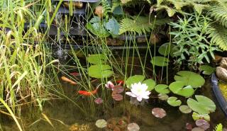 Garage Number 9 Private Urban Loft Apartment with Jacuzzi in Le Dorat - 3