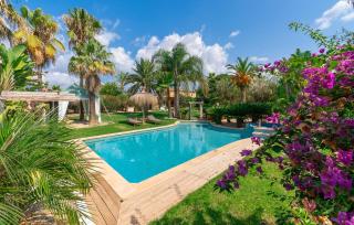 Le Petit Paradis - 0