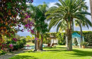 Le Petit Paradis - 2