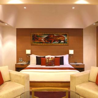 Hotel Ambs Plaza IGI Airport - 9