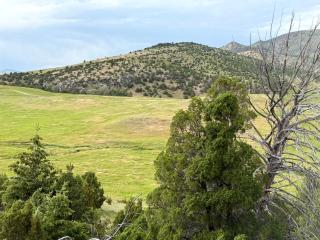 Charming Cabin with Panoramic Mountain Views near Pony in the Tobacco Root Foothills, Montana - 5