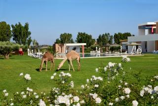 Dar Syada Boutique Hotel Marrakech - 8