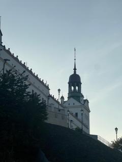 Apartament Baszta 7 Płaszczy, Panieńska - 7