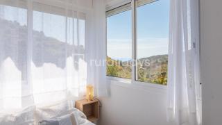 Villa piker - 2