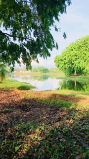 Lake House Angsana 88 - 8