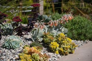 Penquite Holiday Accommodation - 9