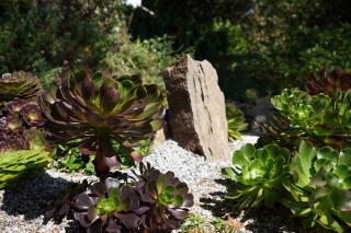 Penquite Holiday Accommodation - 8