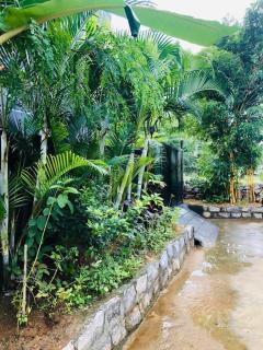 Irishhome stay - 8
