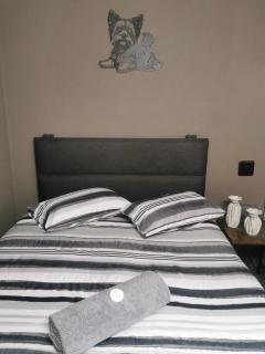 Cammys - 1